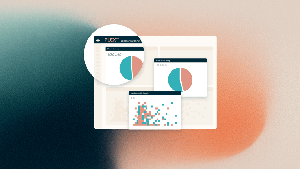 Tvattad-skarm-lonekartlaggning