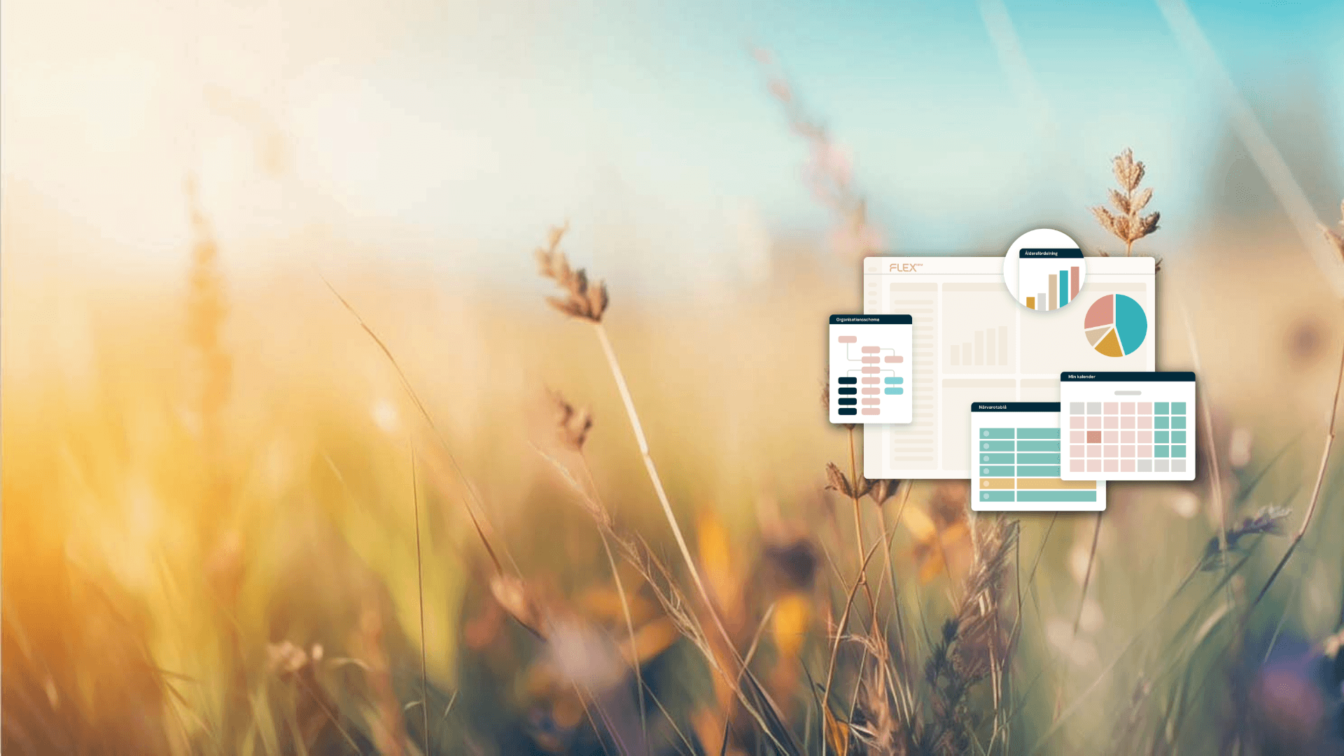 Header-falt och tvattad skarmbild