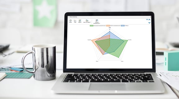 Exempel på kompetensmatris som spindeldiagram