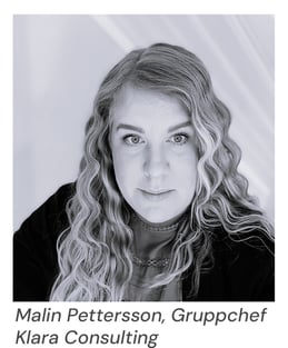 MalinP_KlaraConsulting_text