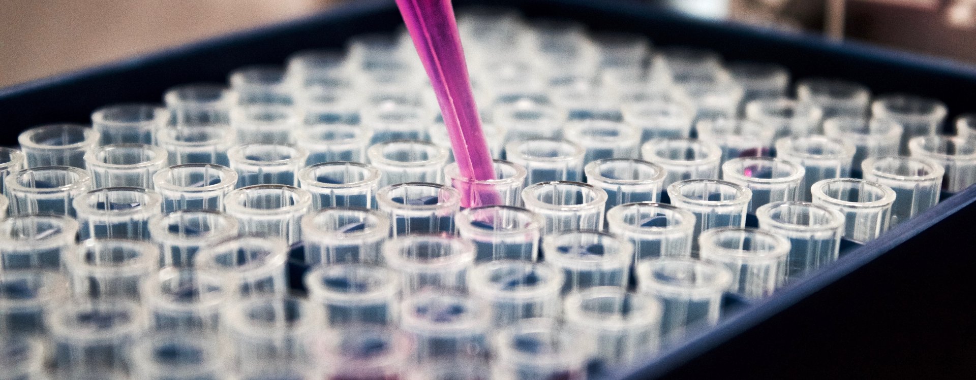 <span id="hs_cos_wrapper_name" class="hs_cos_wrapper hs_cos_wrapper_meta_field hs_cos_wrapper_type_text" style="" data-hs-cos-general-type="meta_field" data-hs-cos-type="text" >Recipharm: All information om våra medarbetare finns i Flex HRM</span>