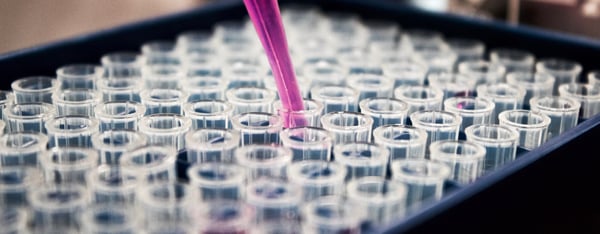 Recipharm: All information om våra medarbetare finns i Flex HRM